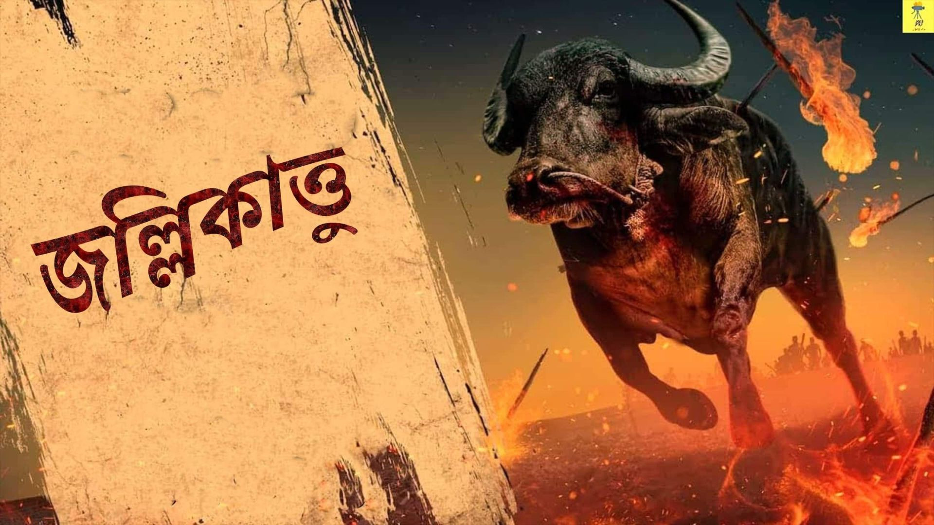 Jallikattu